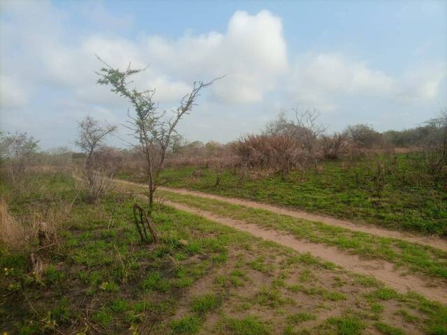 #1499 - Área para Venda em Maputo - Maputo