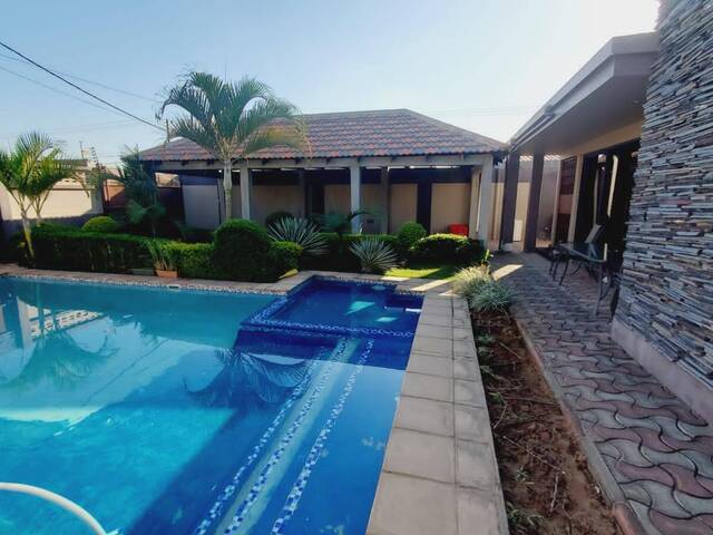 Venda em GUAVA - Maputo