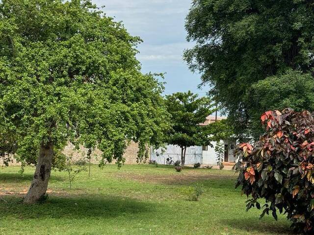 Área para Venda em Maputo - 3