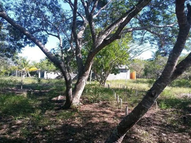 #1630 - Chácara para Venda em Inhambane - Inhambane
