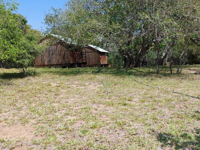 Sítio para Venda em Maputo - 4