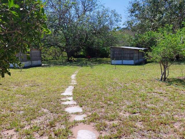 Sítio para Venda em Maputo - 5