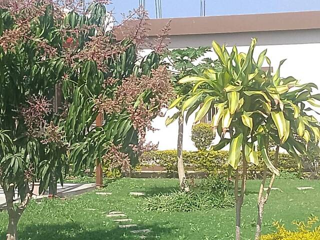 #1737 - Casa para Arrendamento em Maputo - Maputo - 3