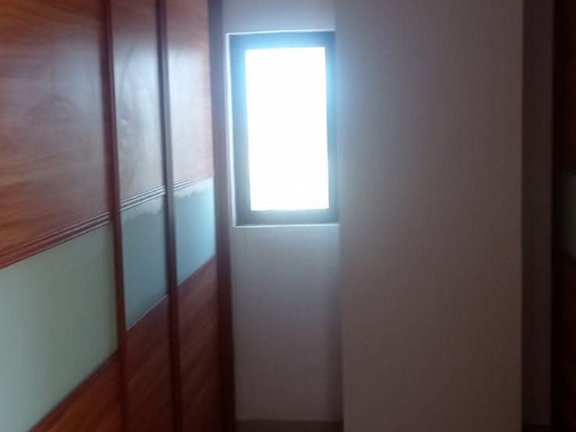  para  em  - 3