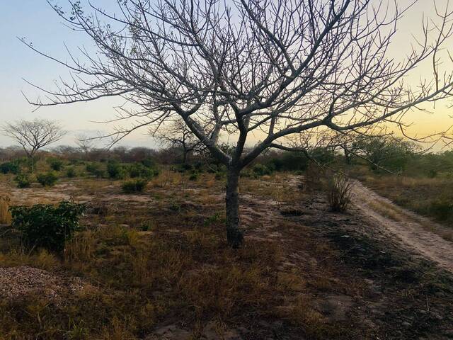 Terreno para Venda em Maputo - 2
