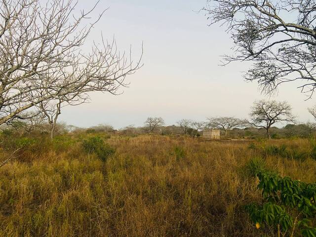 Terreno para Venda em Maputo - 3