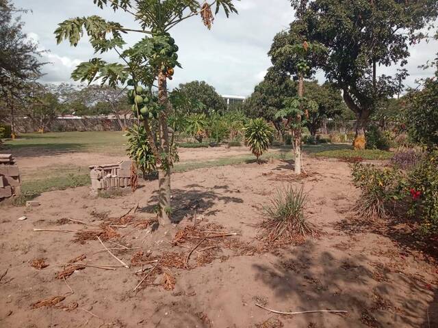 Terreno para Venda em Maputo - 4
