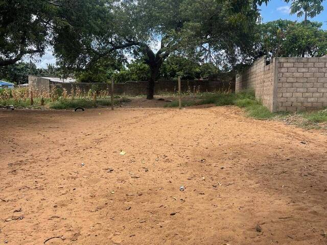 Terreno para Arrendamento em Maputo - 5