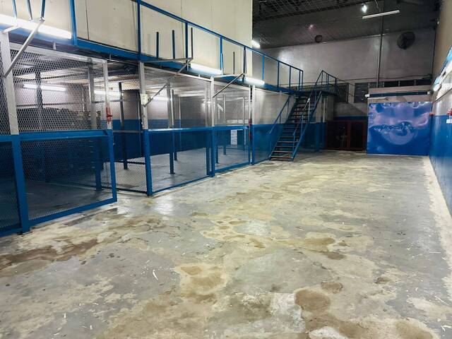 Depósito para Arrendamento em Maputo - 5