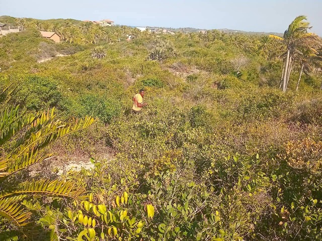 Terreno para Venda em Inhambane - 4