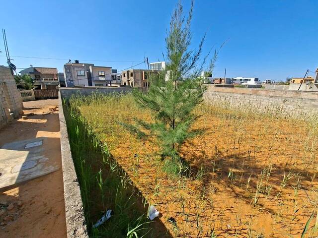 #2050 - Terreno para Venda em Maputo - Maputo