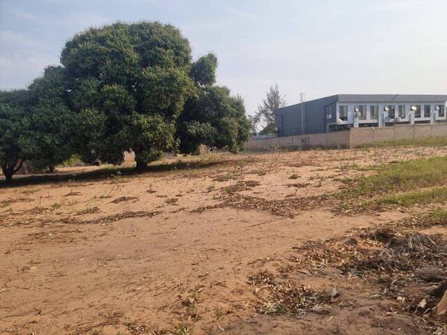 Área para Venda em Maputo - 5