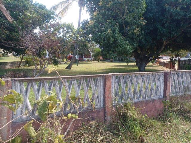 Venda em BILENE - Bilene