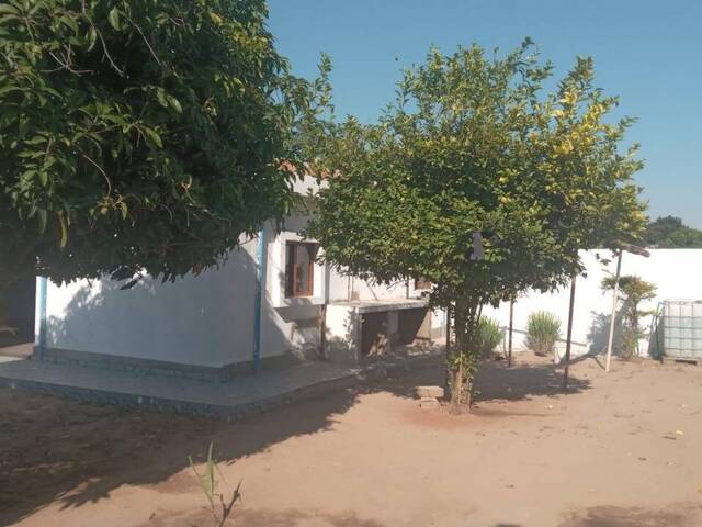 Casa para Arrendamento em Maputo - 5
