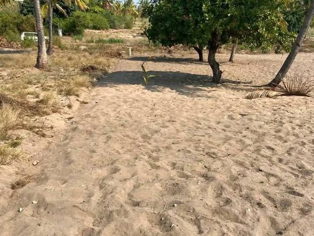 Terreno para Venda em Inhambane - 4