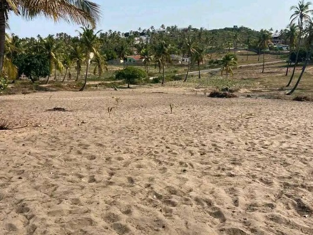 Terreno para Venda em Inhambane - 5