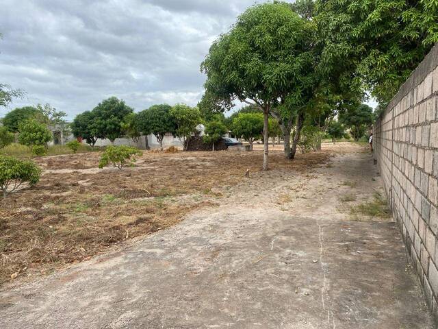 #2362 - Área para Venda em Maputo - Maputo