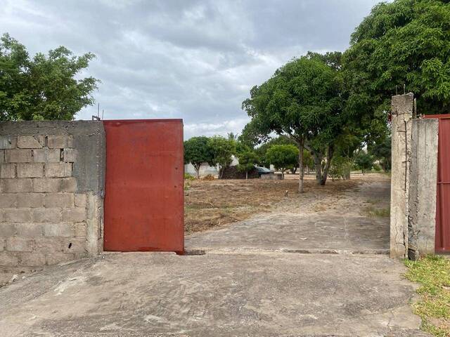 #2362 - Área para Venda em Maputo - Maputo
