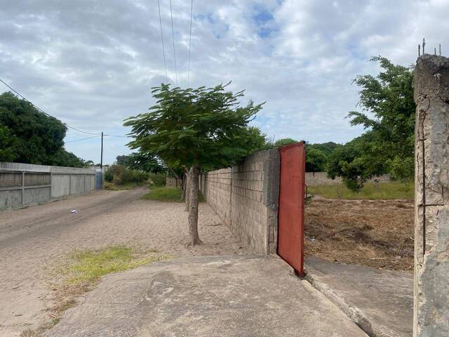 #2362 - Área para Venda em Maputo - Maputo
