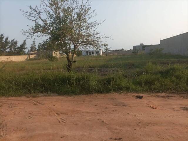 #2378 - Área para Venda em Maputo - Maputo