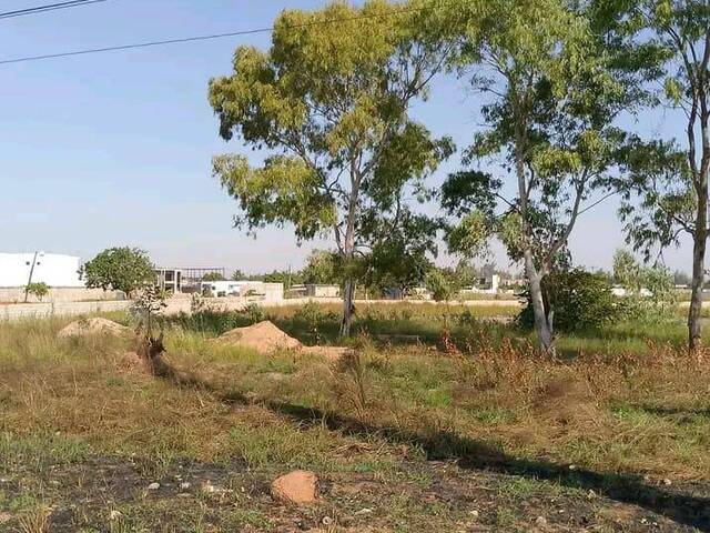 #2380 - Área para Venda em Maputo - Maputo