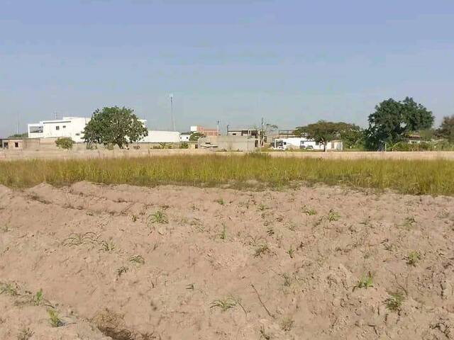 #2380 - Área para Venda em Maputo - Maputo