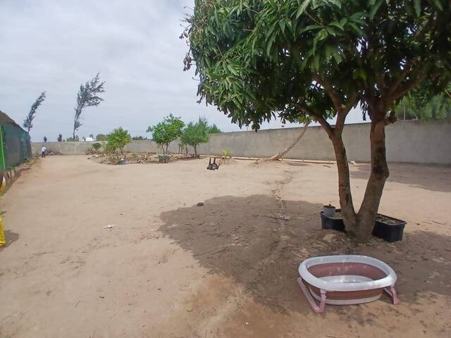 #2421 - Casa para Venda em Maputo - Maputo