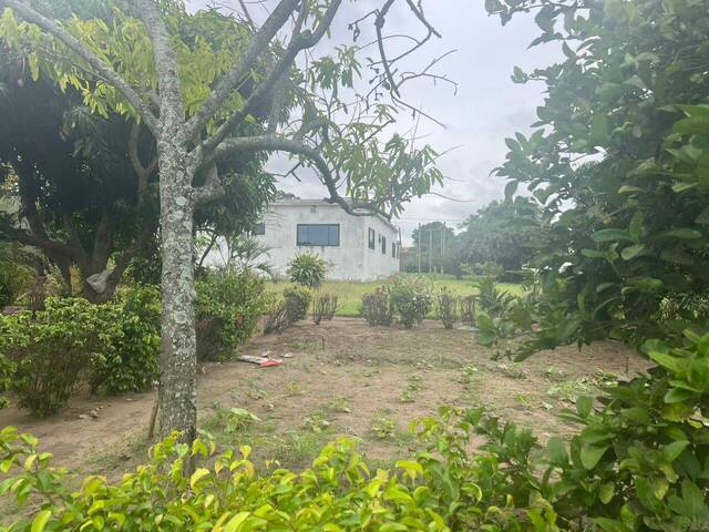 #2858 - Área para Venda em Maputo - Maputo