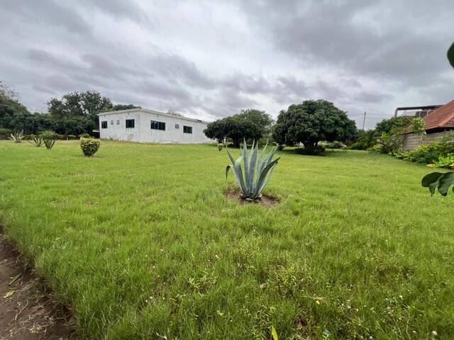 #2858 - Área para Venda em Maputo - Maputo