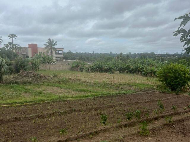 Área para Venda em Maputo - 4