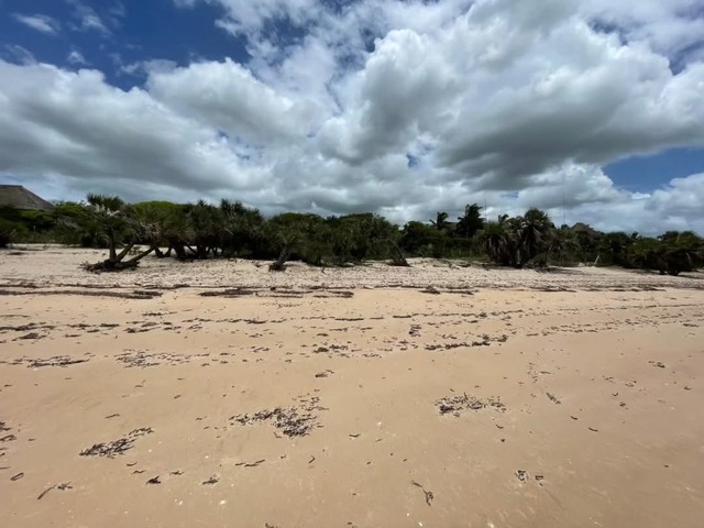 Terreno para Venda em Inhambane - 5