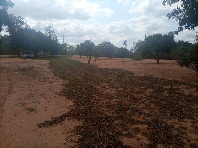Terreno para Venda em Maputo - 4