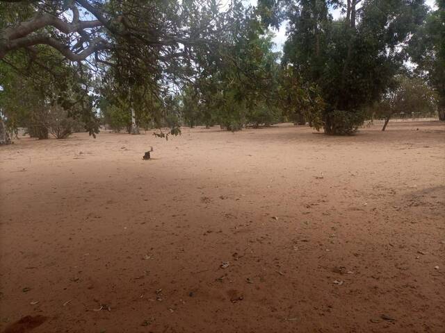 Terreno para Venda em Maputo - 5