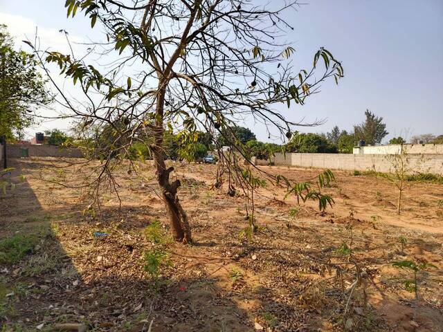 Terreno para Venda em Maputo - 5