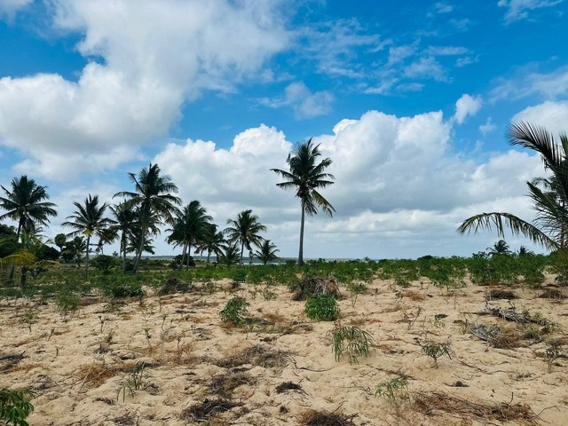 #3005 - Terreno para Venda em Inhambane - Inhambane
