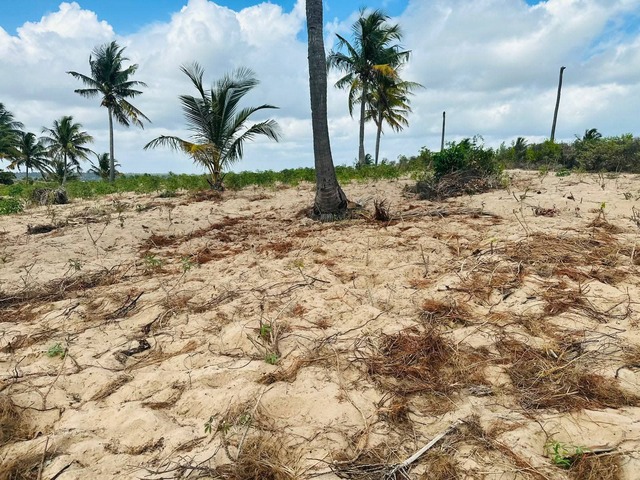 #3005 - Terreno para Venda em Inhambane - Inhambane