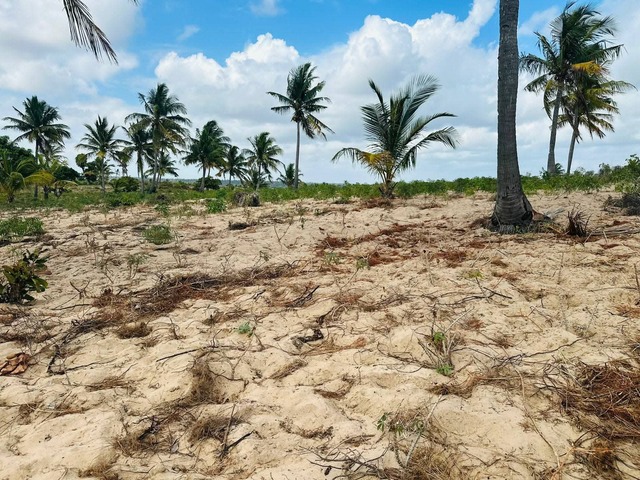 Terreno para Venda em Inhambane - 4