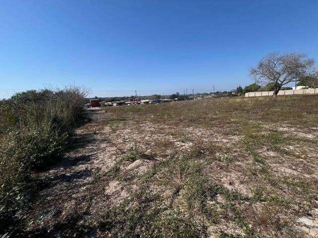 #3123 - Área para Venda em Maputo - Maputo