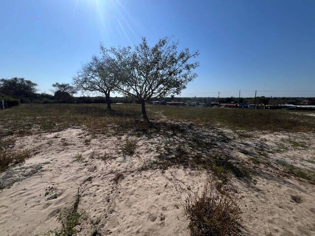 #3123 - Área para Venda em Maputo - Maputo