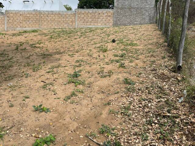 Venda em PONTA DE OURO - Maputo