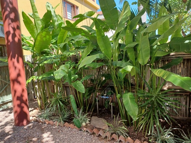 #3197 - Apartamento para Arrendamento em Maputo - Maputo