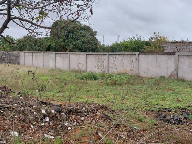 #3202 - Área para Venda em Maputo - Maputo