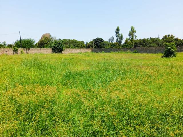 Terreno para Venda em Maputo - 3