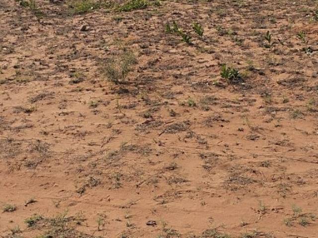Terreno para Venda em Maputo - 5