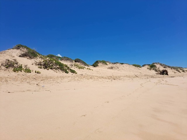 Fazenda para Venda em Inhambane - 4