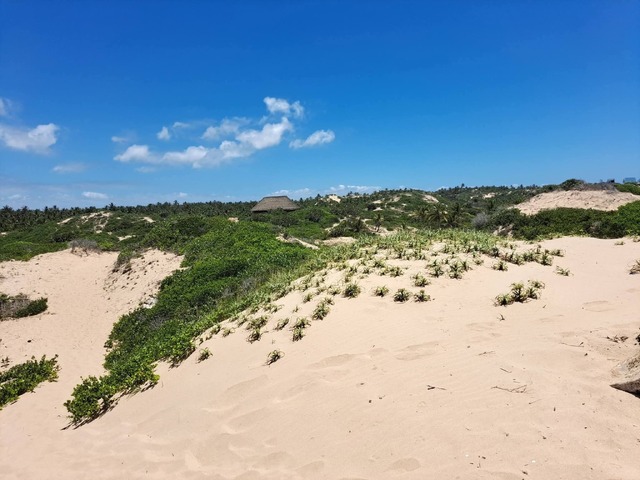 Fazenda para Venda em Inhambane - 5