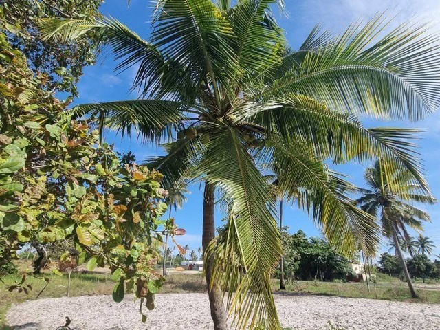 Terreno para Venda em Inhambane - 5