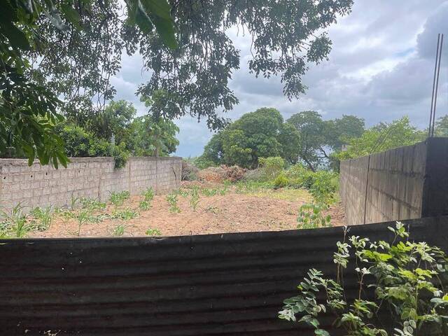 Terreno para Arrendamento em Maputo - 5