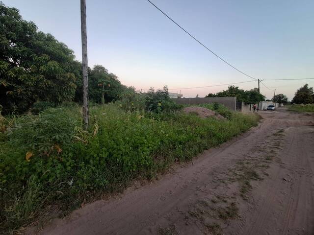 Terreno para Venda em Maputo - 4