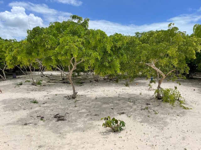 #4494 - Terreno para Venda em Inhambane - Inhambane
